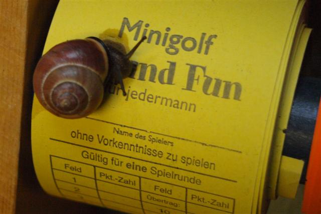 hertzberg golf Schnecke